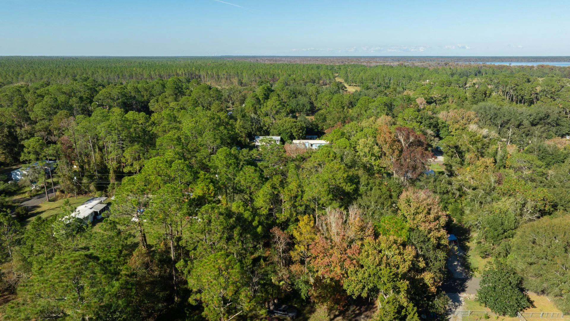 Decorative background for Florida Homesite Opportunity - 0.4 Acres in Crescent City, Water Nearby image 15