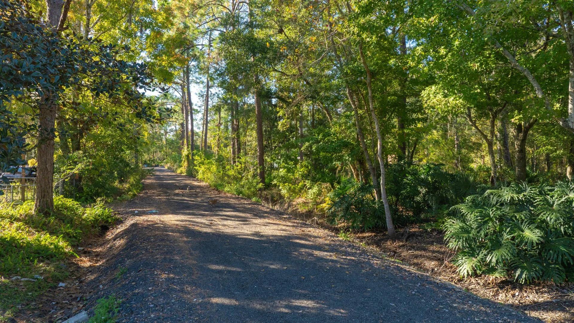 Decorative background for Florida Homesite Opportunity - 0.4 Acres in Crescent City, Water Nearby image 21