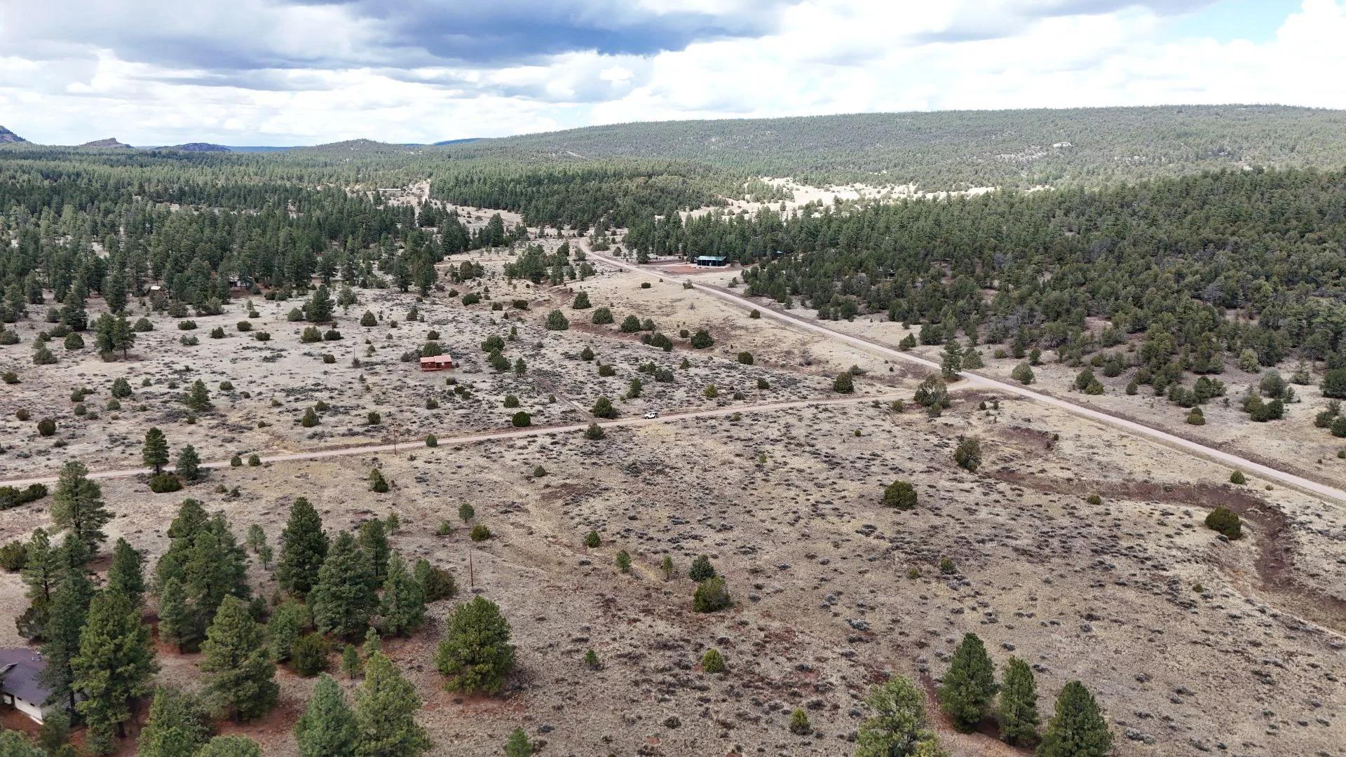4.9 acres in Timberlake, NM – Camping Heaven! – Easy Access to Power! - Image 2