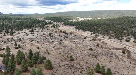 4.9 acres in Timberlake, NM – Camping Heaven! – Easy Access to Power! in McKinley County, NM