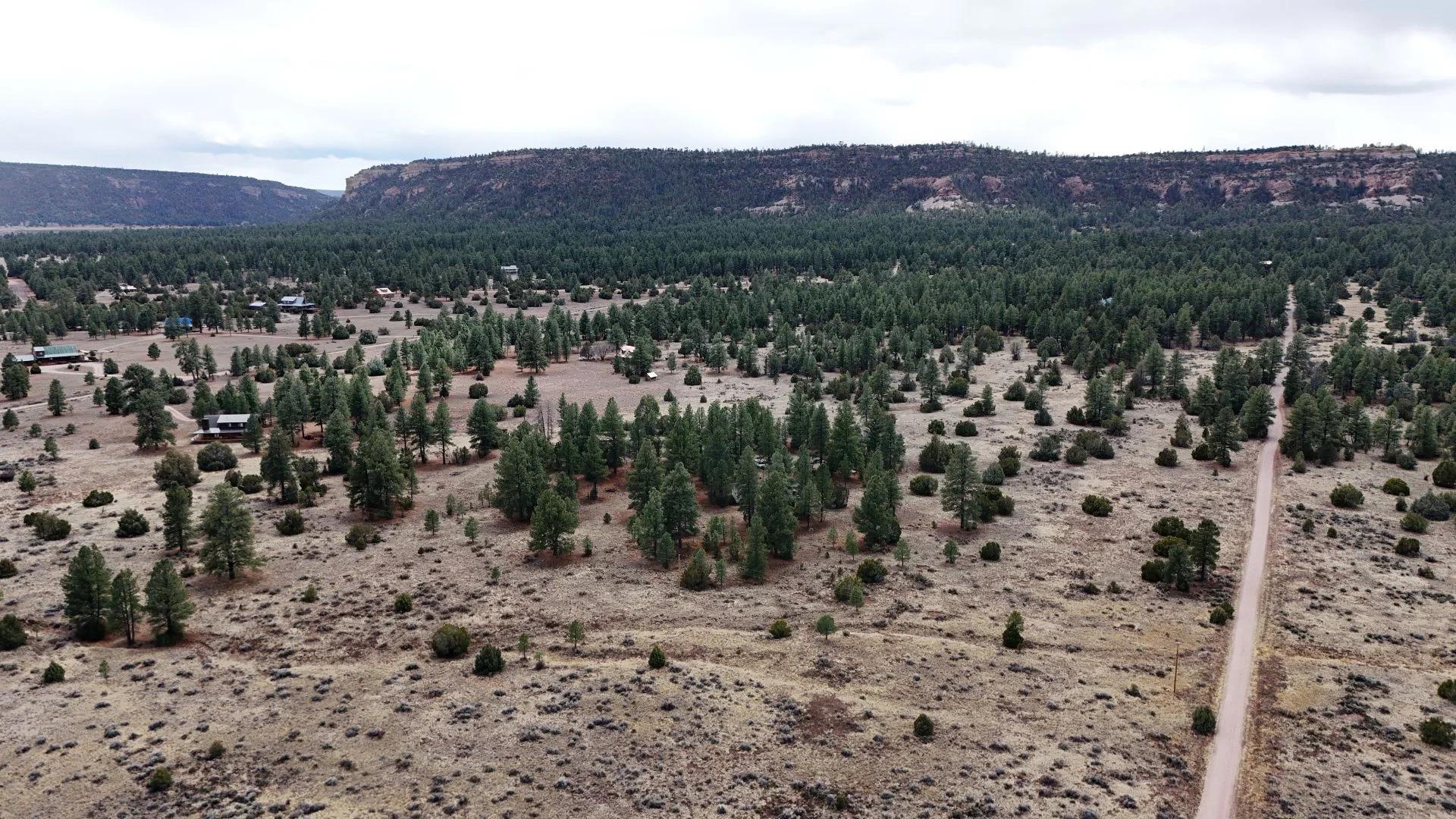 4.9 acres in Timberlake, NM – Camping Heaven! – Easy Access to Power! - Image 4