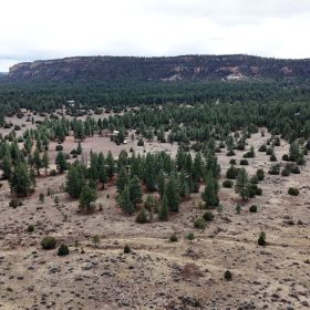 4.9 acres in Timberlake, NM – Camping Heaven! – Easy Access to Power! in McKinley County, NM
