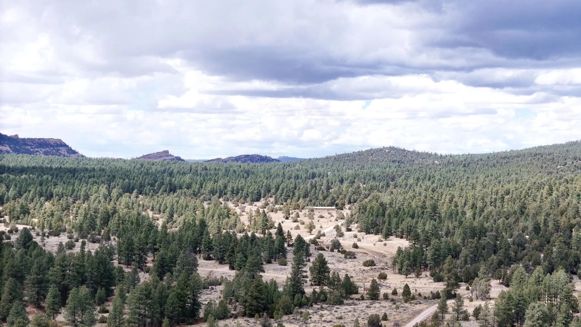 Decorative background for 4.9 acres in Timberlake, NM – Camping Heaven! – Easy Access to Power! image 5