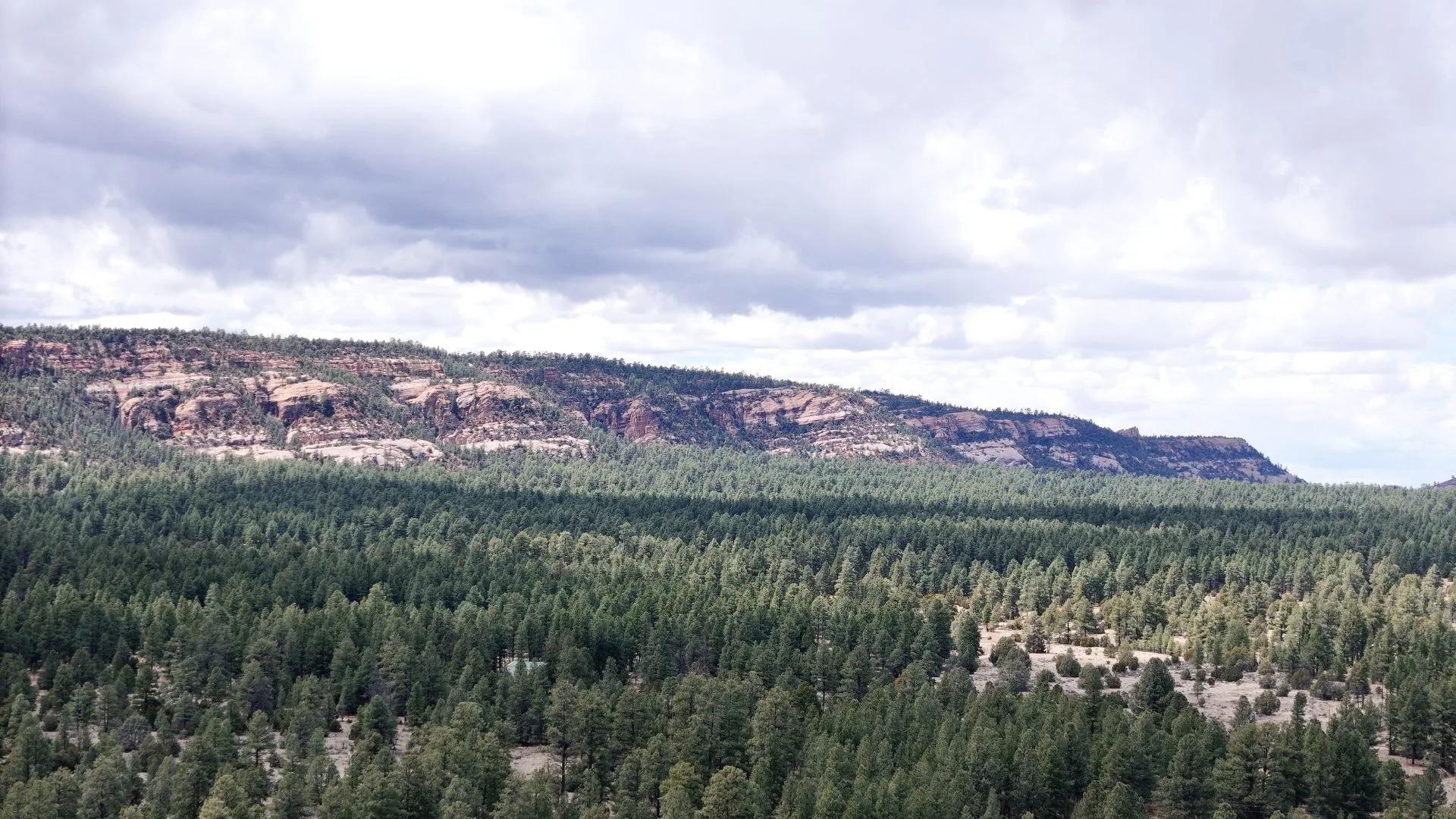 Decorative background for 4.9 acres in Timberlake, NM – Camping Heaven! – Easy Access to Power! image 6