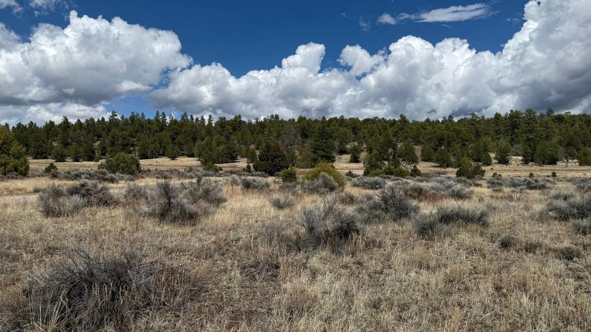 Decorative background for 4.9 acres in Timberlake, NM – Camping Heaven! – Easy Access to Power! image 8