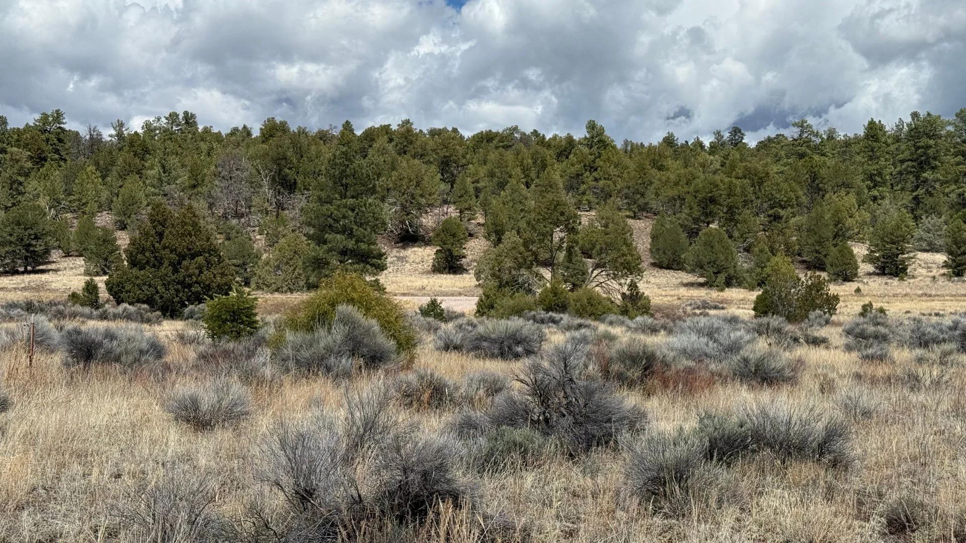 Decorative background for 4.9 acres in Timberlake, NM – Camping Heaven! – Easy Access to Power! image 9