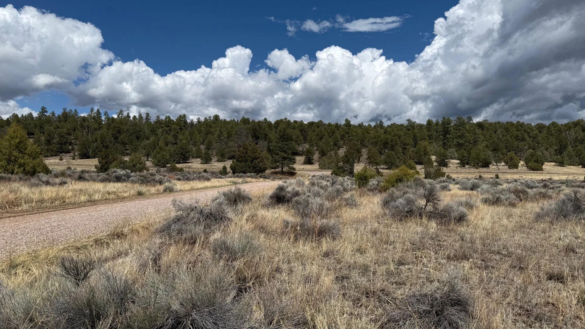 Decorative background for 4.9 acres in Timberlake, NM – Camping Heaven! – Easy Access to Power! image 10
