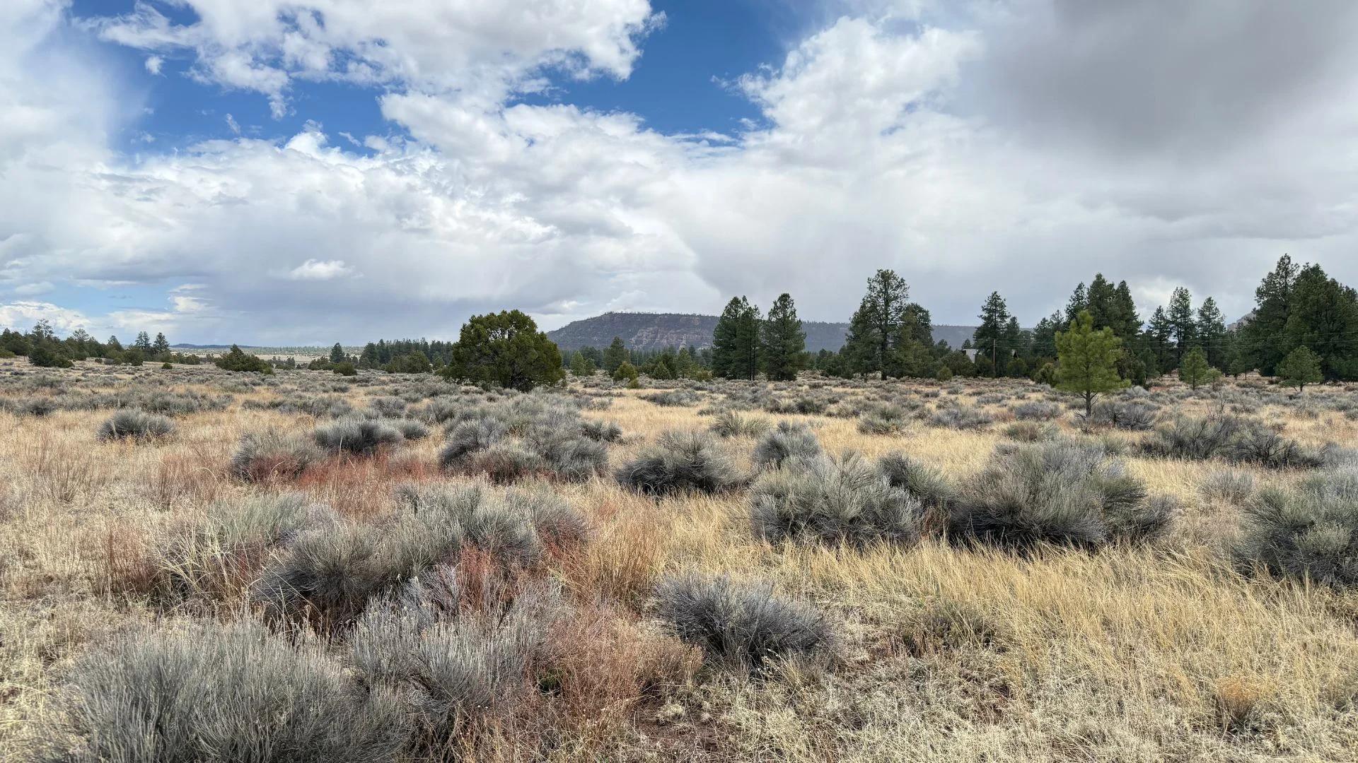 Decorative background for 4.9 acres in Timberlake, NM – Camping Heaven! – Easy Access to Power! image 11