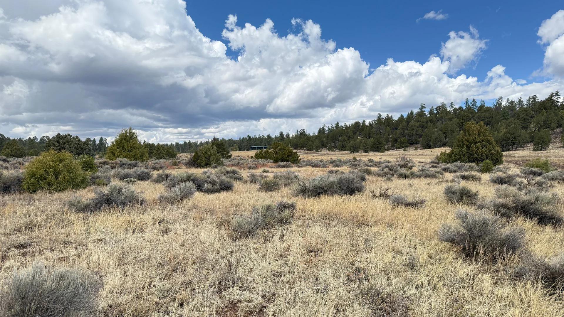 Decorative background for 4.9 acres in Timberlake, NM – Camping Heaven! – Easy Access to Power! image 12