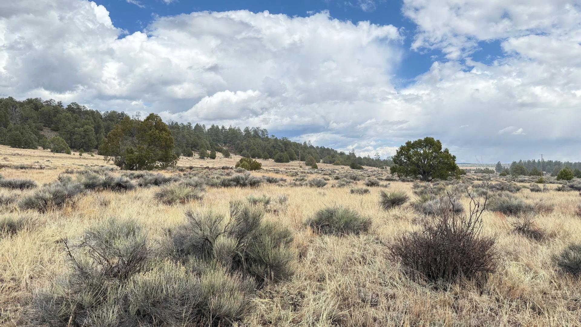 Decorative background for 4.9 acres in Timberlake, NM – Camping Heaven! – Easy Access to Power! image 14