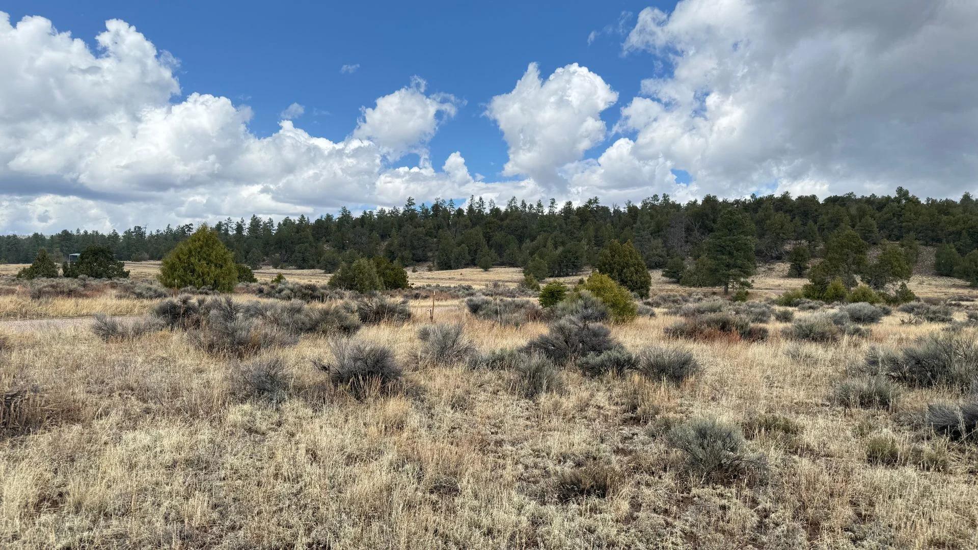 Decorative background for 4.9 acres in Timberlake, NM – Camping Heaven! – Easy Access to Power! image 16