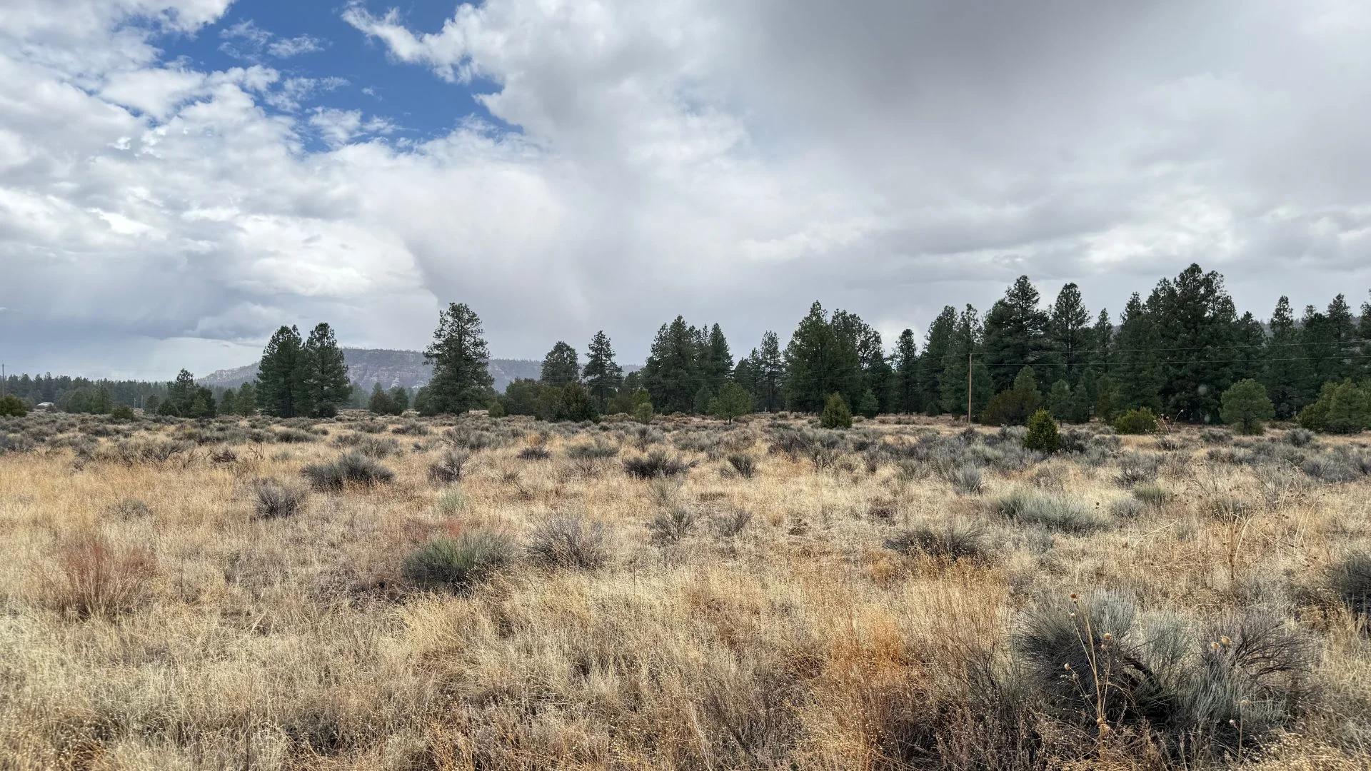 Decorative background for 4.9 acres in Timberlake, NM – Camping Heaven! – Easy Access to Power! image 17