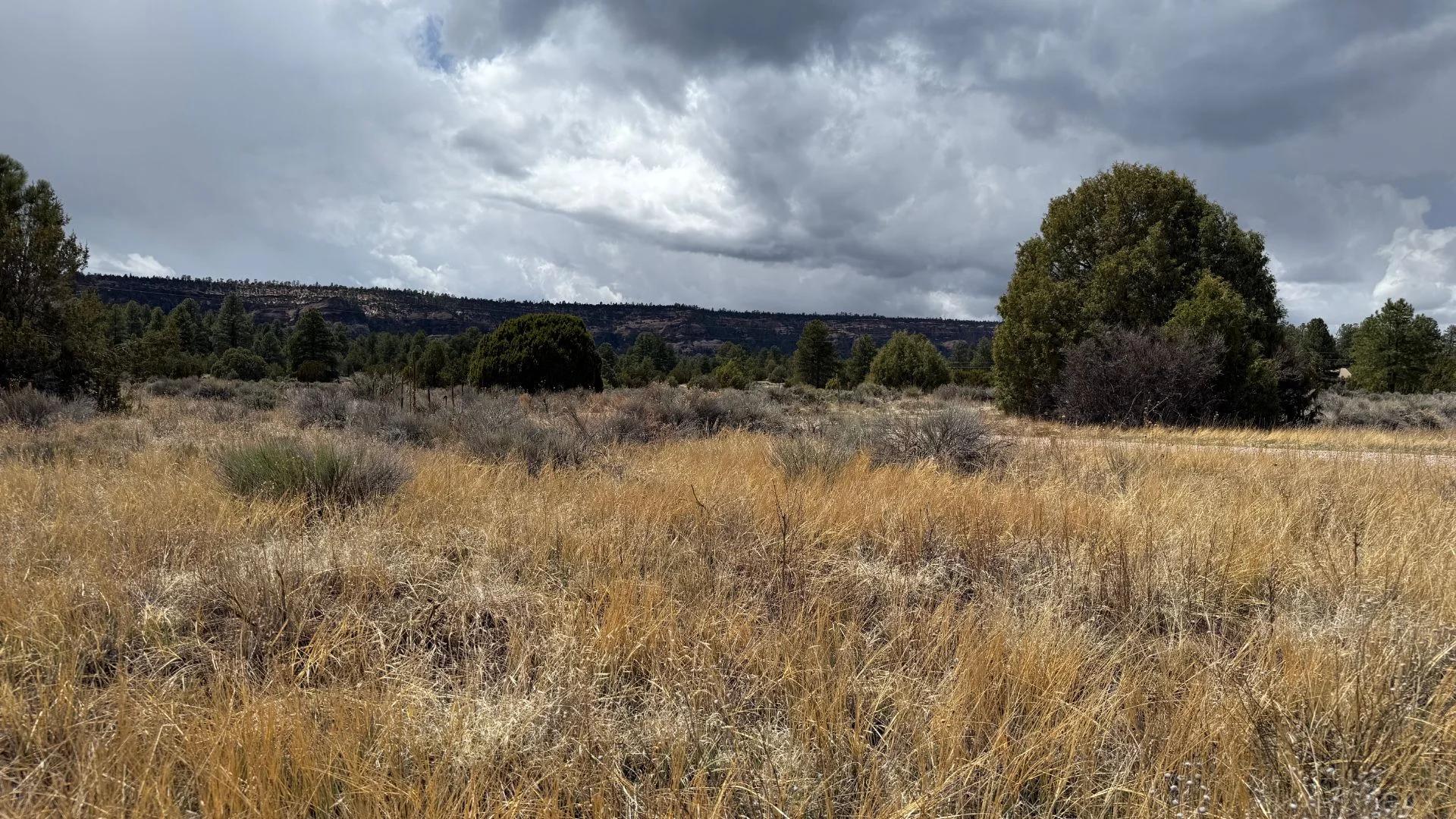 Decorative background for 4.9 acres in Timberlake, NM – Camping Heaven! – Easy Access to Power! image 18
