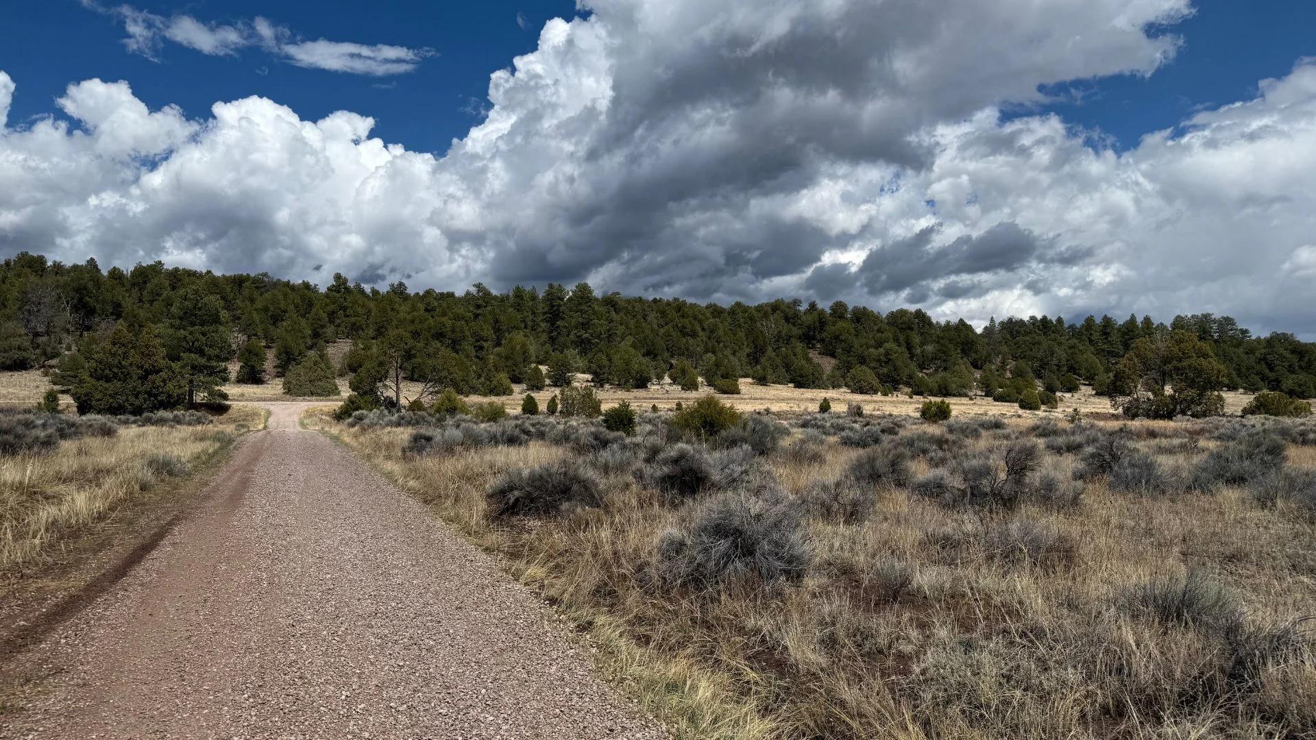 Decorative background for 4.9 acres in Timberlake, NM – Camping Heaven! – Easy Access to Power! image 19