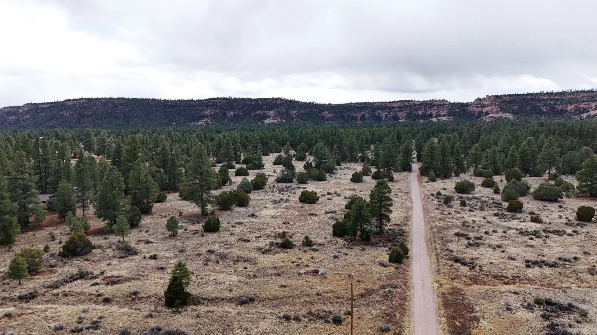 Decorative background for 4.9 acres in Timberlake, NM – Camping Heaven! – Easy Access to Power! image 20