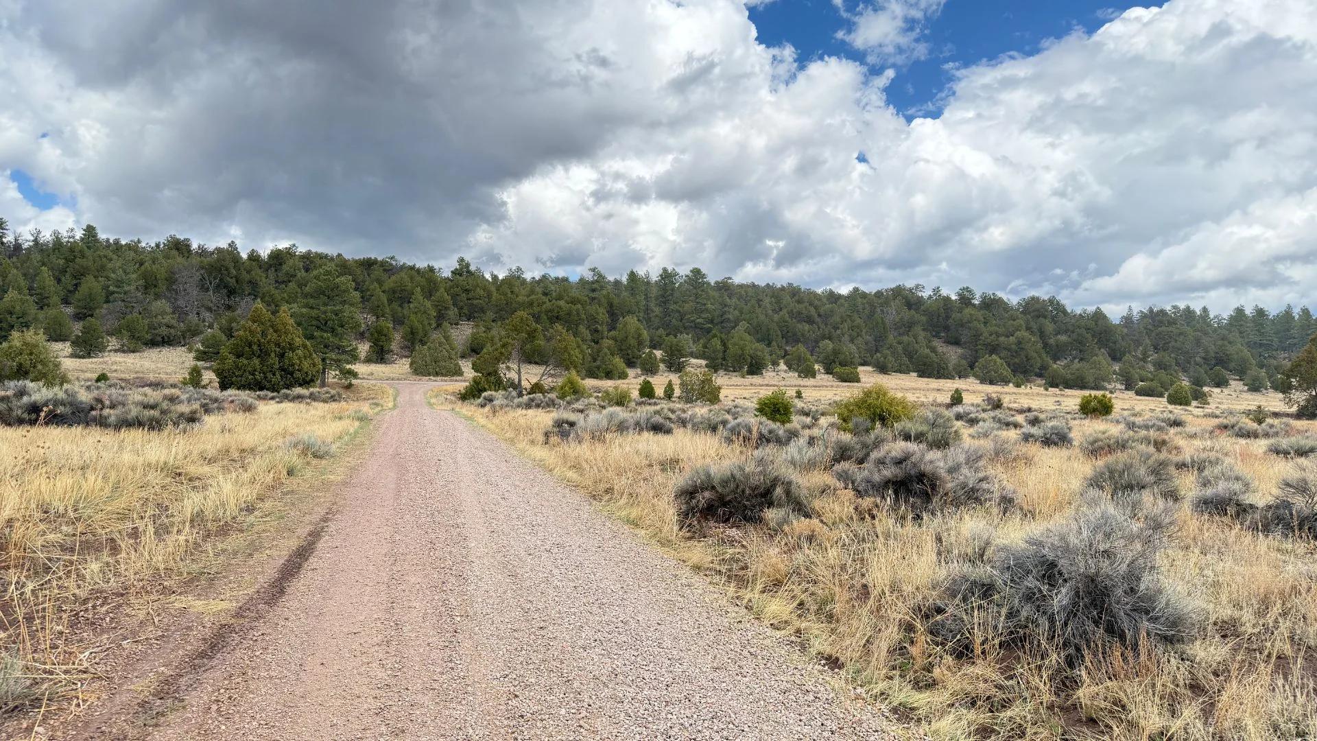 Decorative background for 4.9 acres in Timberlake, NM – Camping Heaven! – Easy Access to Power! image 23