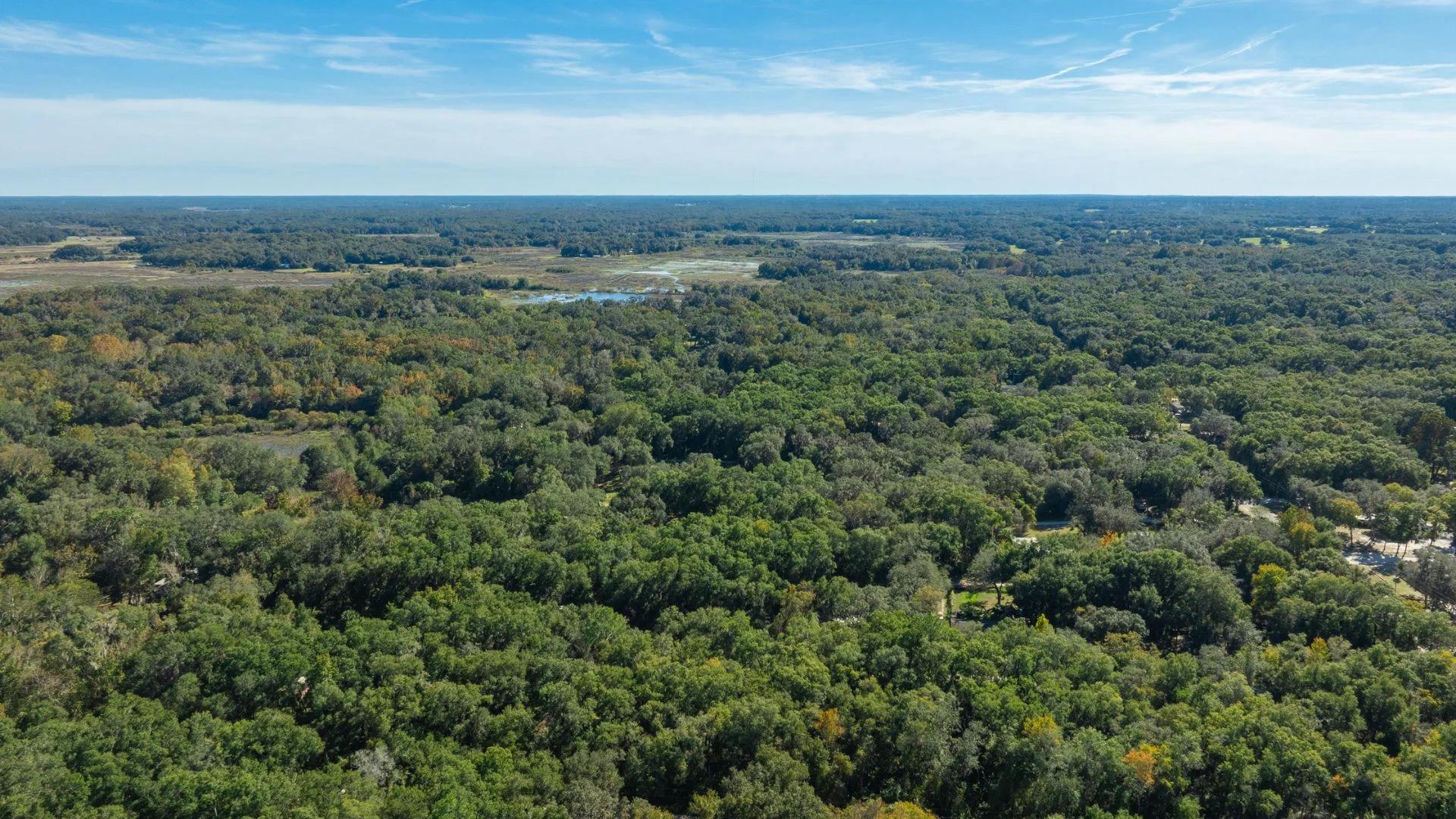 0.38 Acre Citra FL Property – Proximity to Gainesville and US-301 for Easy Access - Image 2