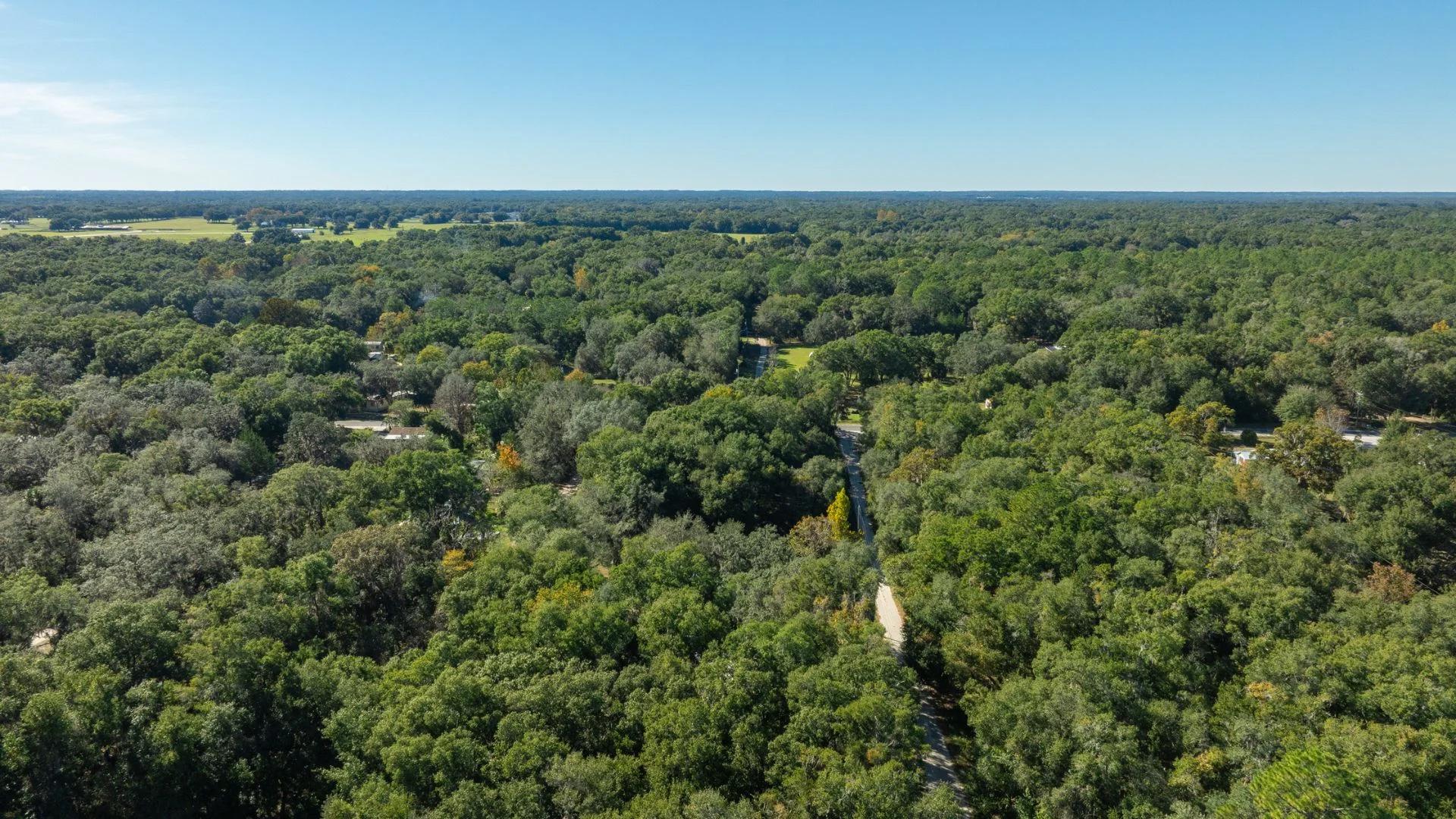 0.38 Acre Citra FL Property – Proximity to Gainesville and US-301 for Easy Access - Image 3