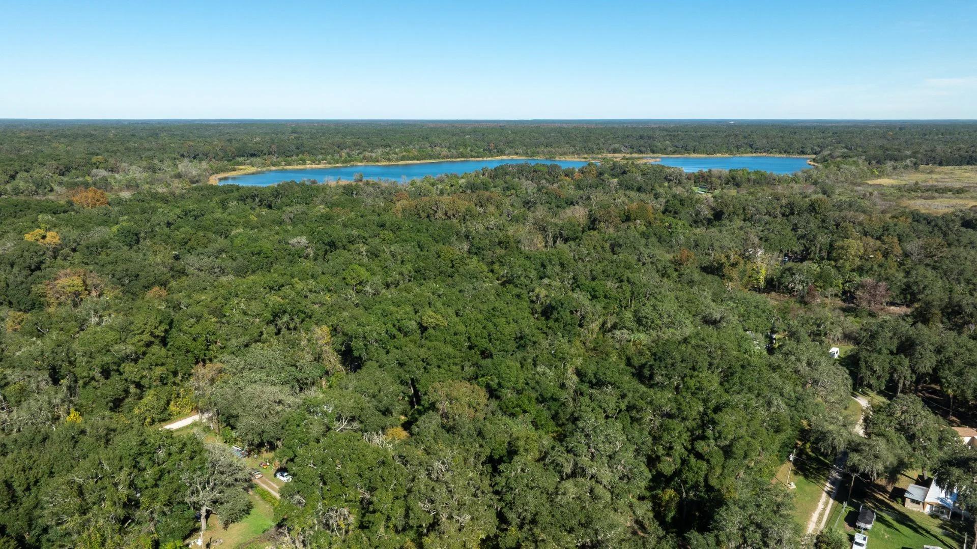 Decorative background for 0.38 Acre Citra FL Property – Proximity to Gainesville and US-301 for Easy Access image 5