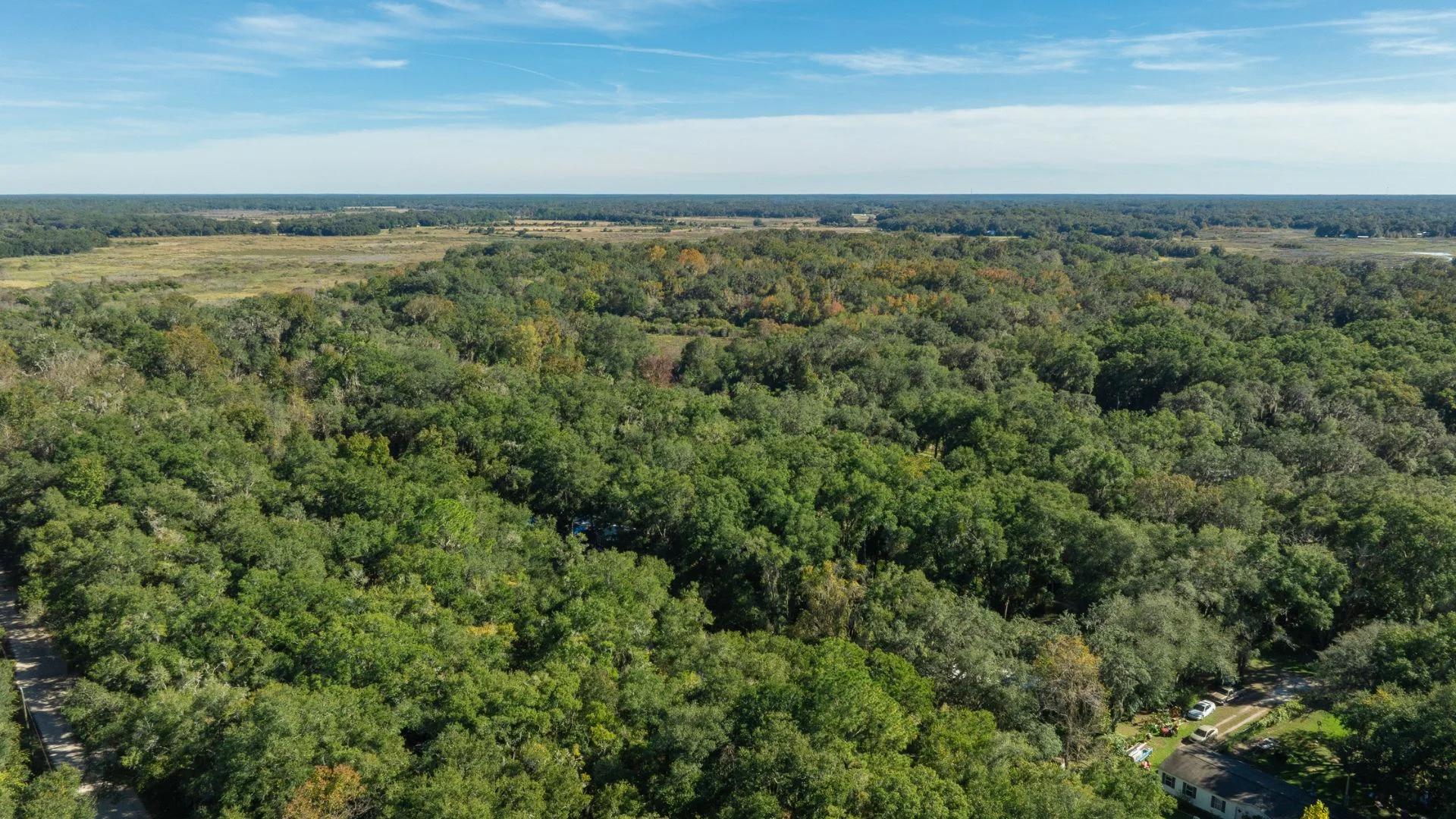 Decorative background for 0.38 Acre Citra FL Property – Proximity to Gainesville and US-301 for Easy Access image 6
