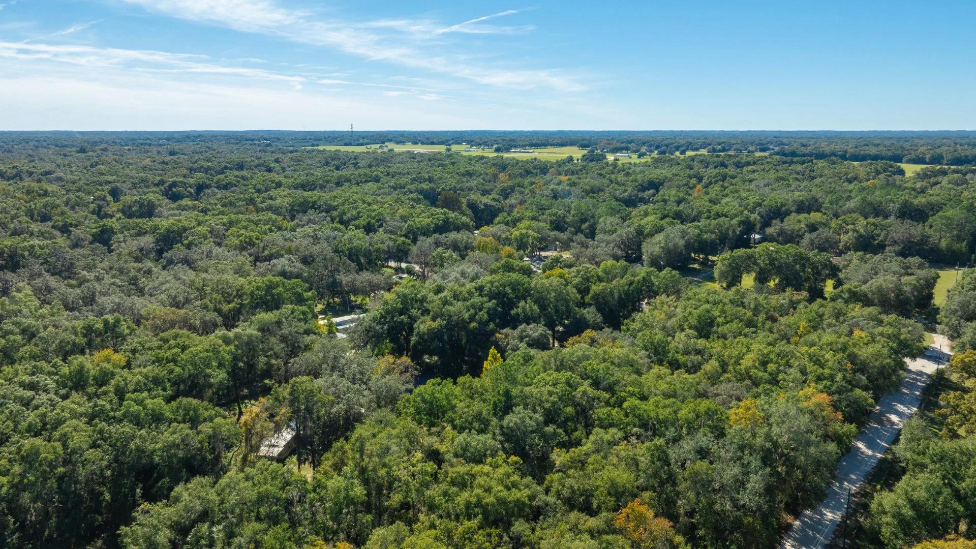 Decorative background for 0.38 Acre Citra FL Property – Proximity to Gainesville and US-301 for Easy Access image 7