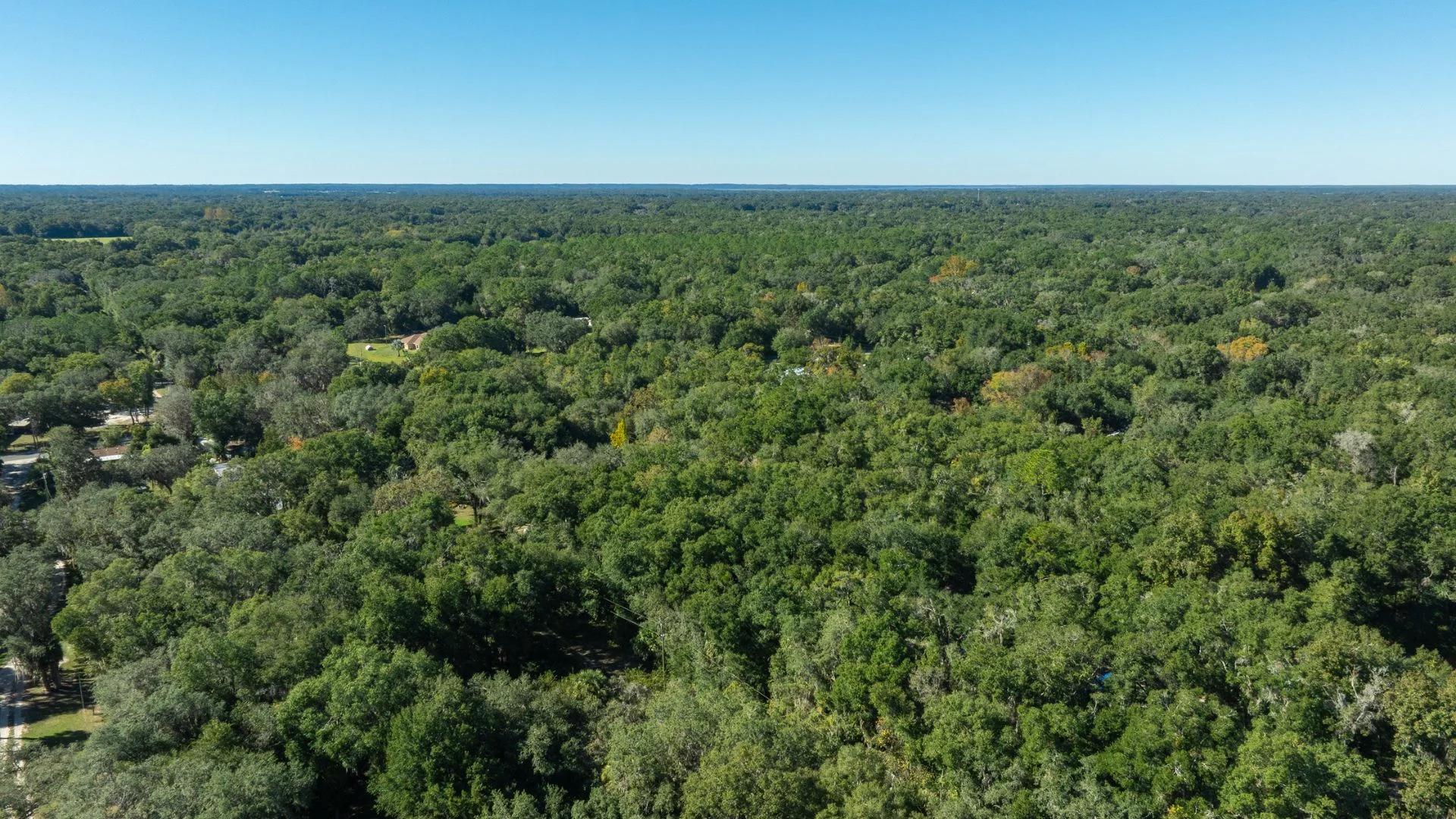 Decorative background for 0.38 Acre Citra FL Property – Proximity to Gainesville and US-301 for Easy Access image 8