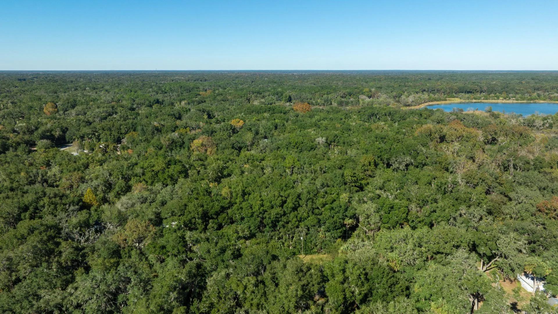 Decorative background for 0.38 Acre Citra FL Property – Proximity to Gainesville and US-301 for Easy Access image 9