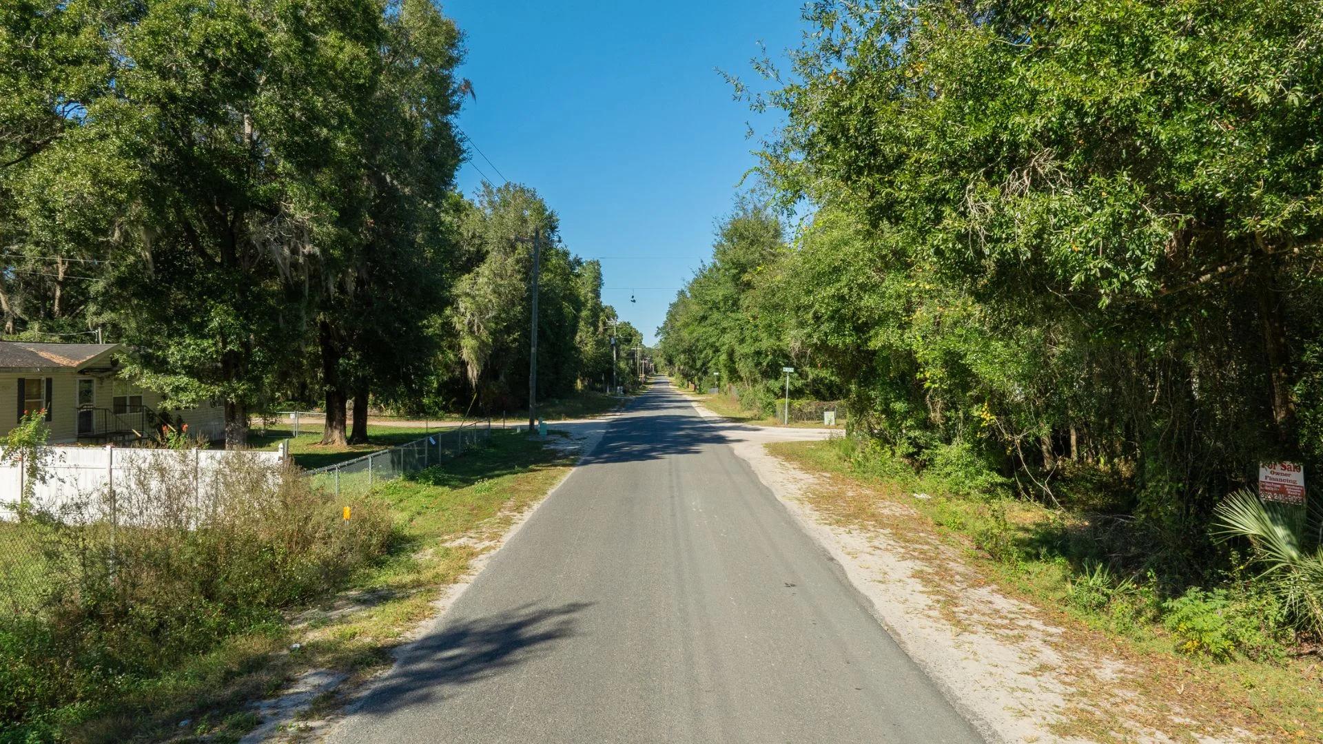 Decorative background for 0.38 Acre Citra FL Property – Proximity to Gainesville and US-301 for Easy Access image 11