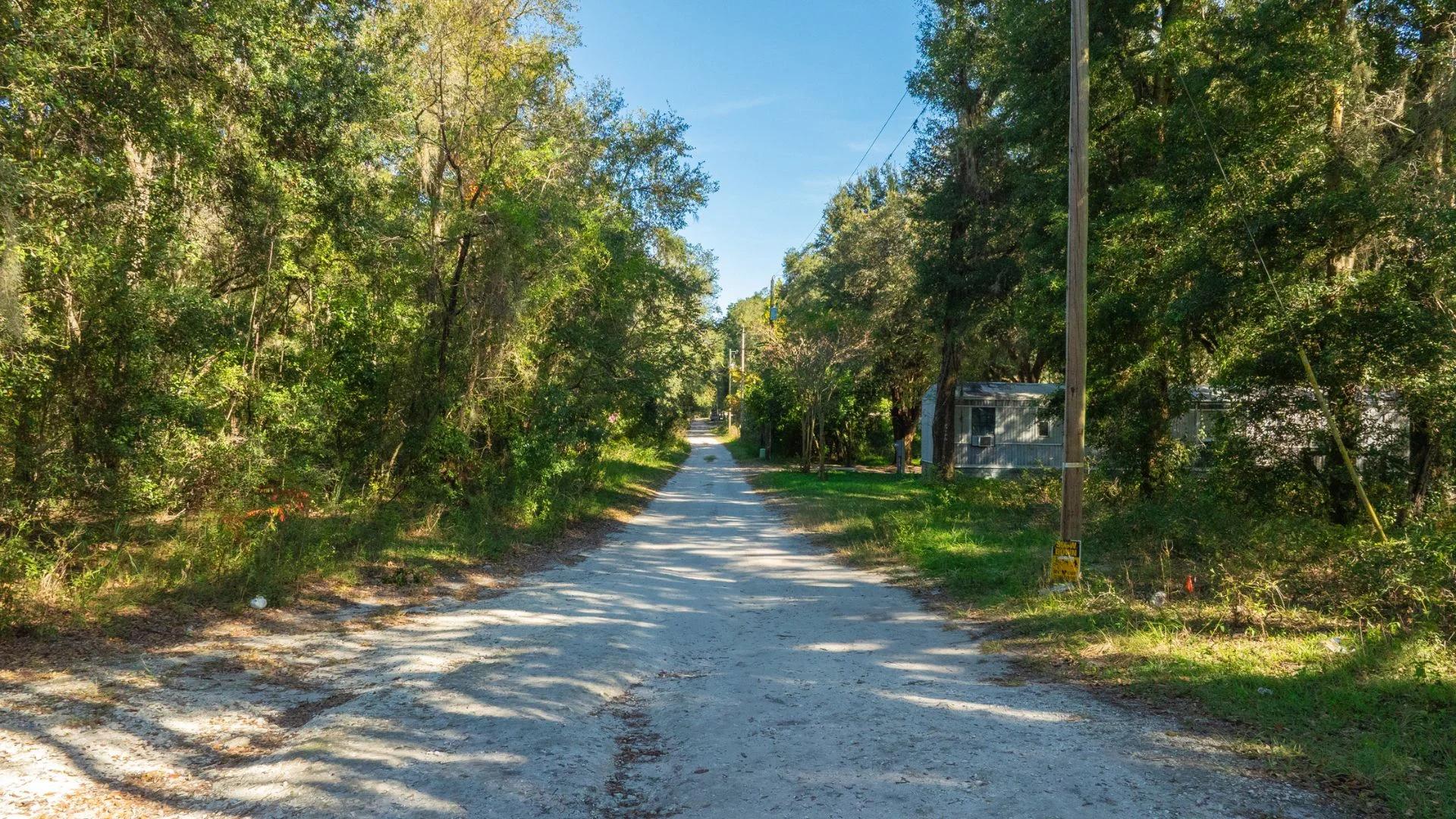 Decorative background for 0.38 Acre Citra FL Property – Proximity to Gainesville and US-301 for Easy Access image 12