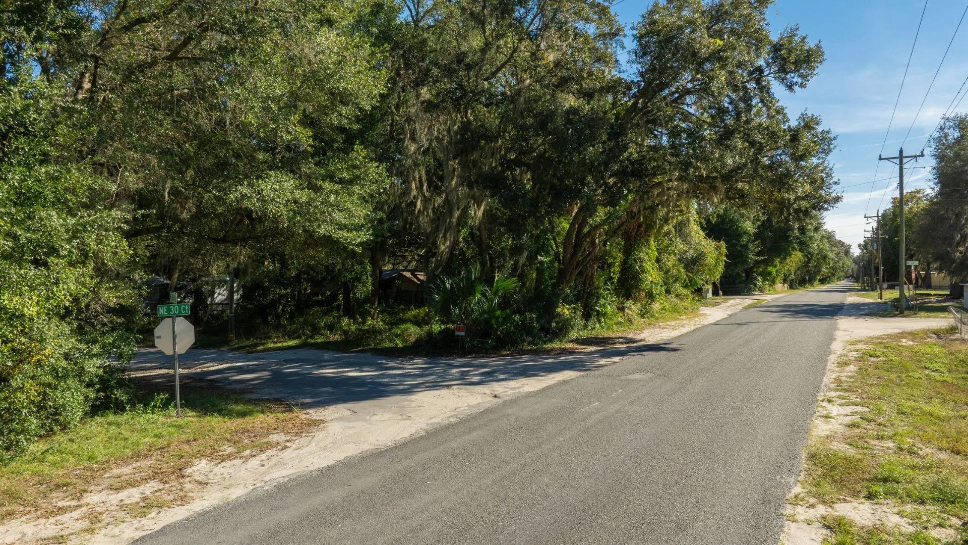 Decorative background for 0.38 Acre Citra FL Property – Proximity to Gainesville and US-301 for Easy Access image 13