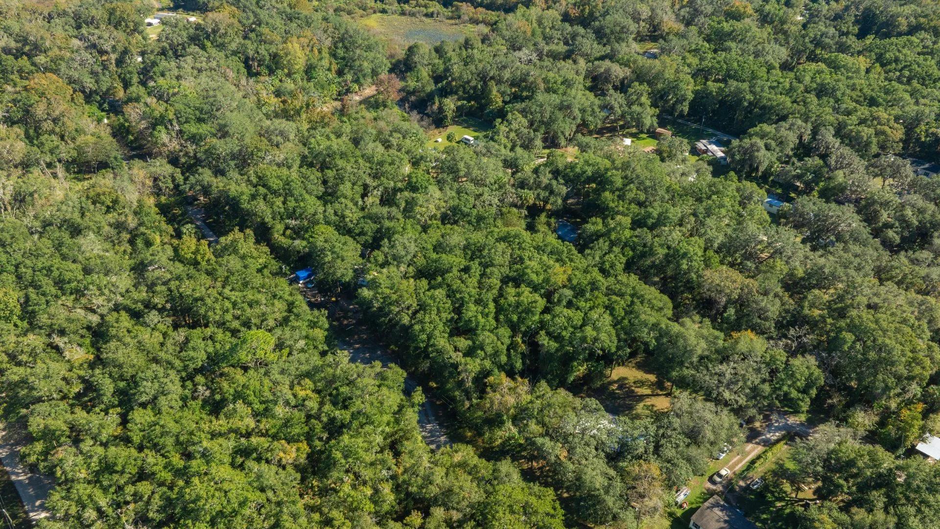 Decorative background for 0.38 Acre Citra FL Property – Proximity to Gainesville and US-301 for Easy Access image 14