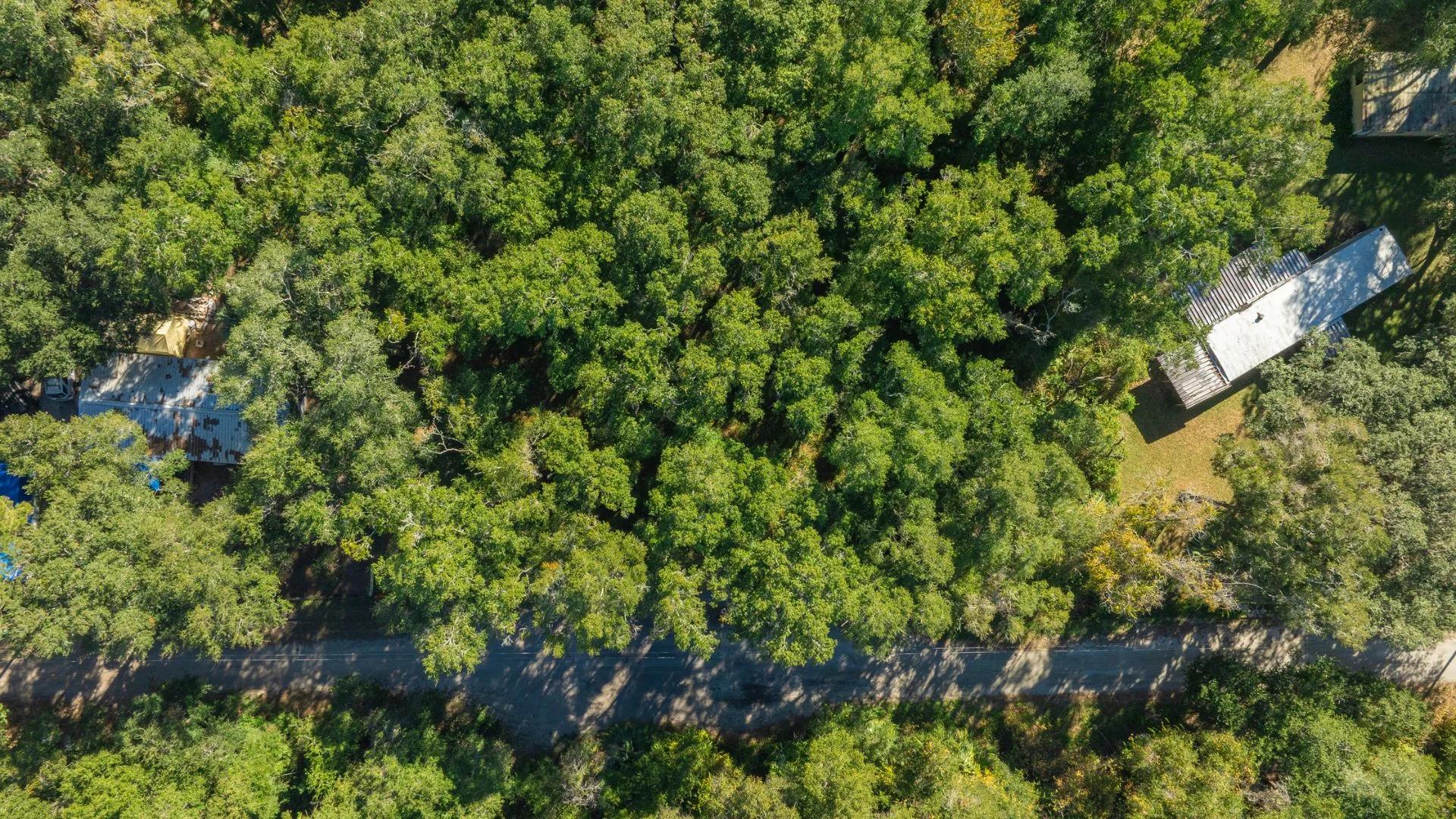 Decorative background for 0.38 Acre Citra FL Property – Proximity to Gainesville and US-301 for Easy Access image 15