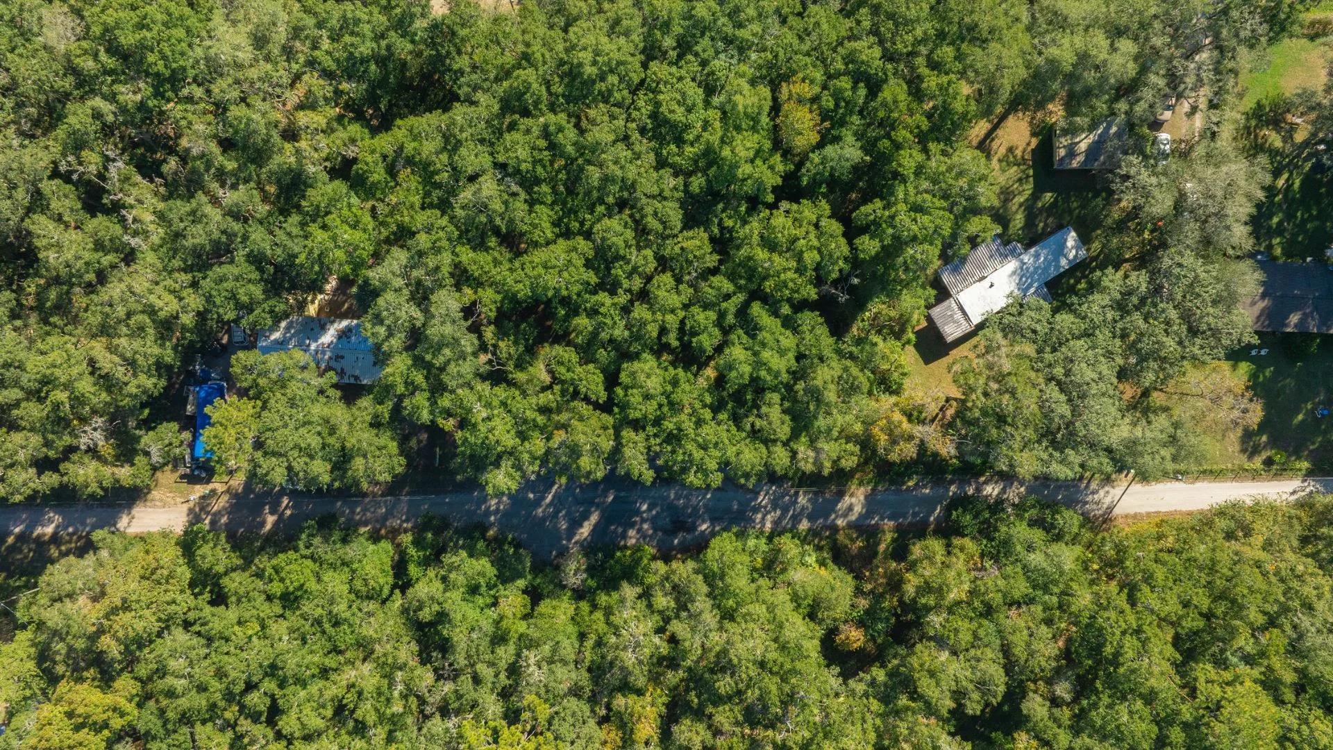 Decorative background for 0.38 Acre Citra FL Property – Proximity to Gainesville and US-301 for Easy Access image 16