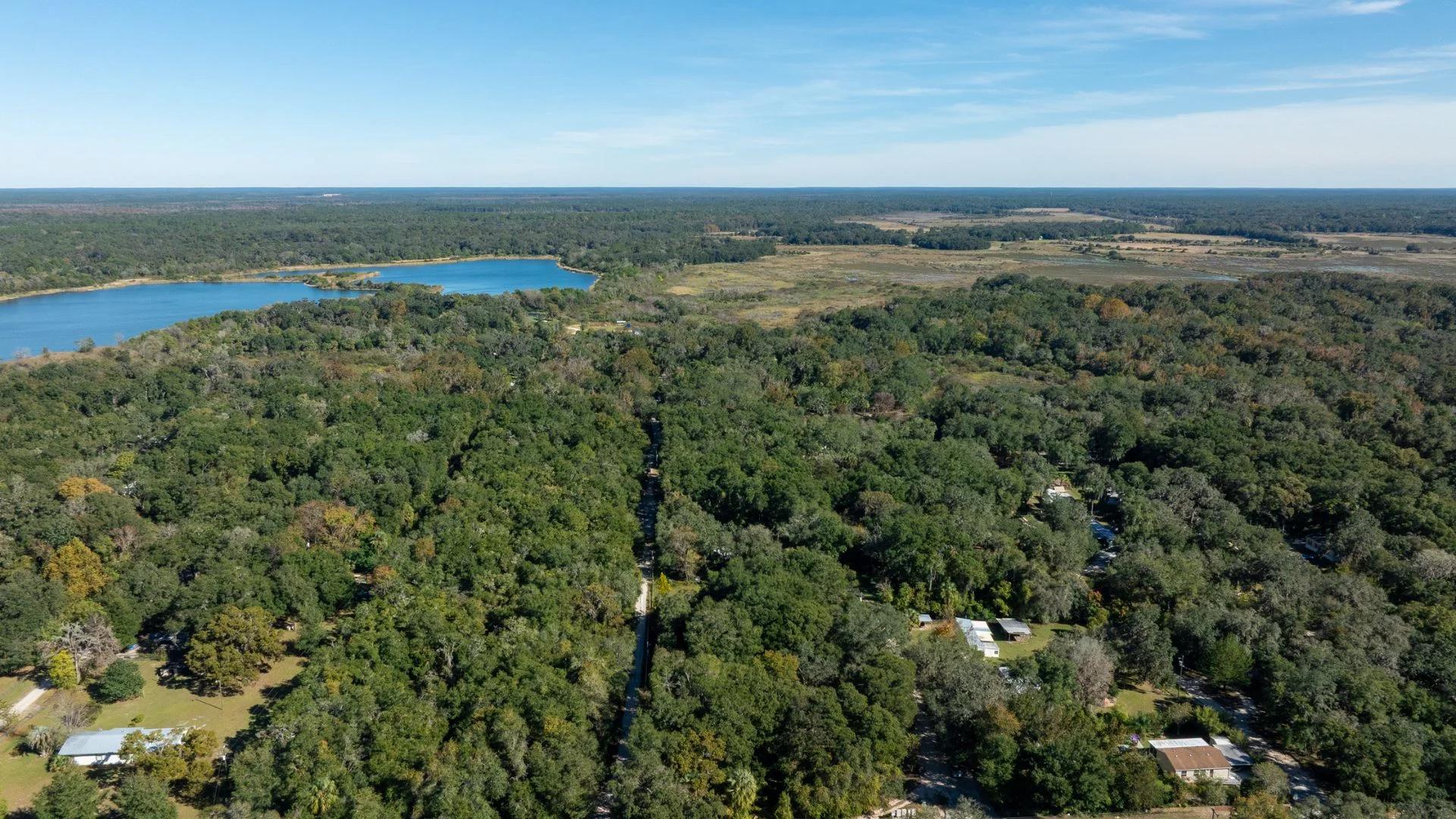 Decorative background for 0.38 Acre Citra FL Property – Proximity to Gainesville and US-301 for Easy Access image 17