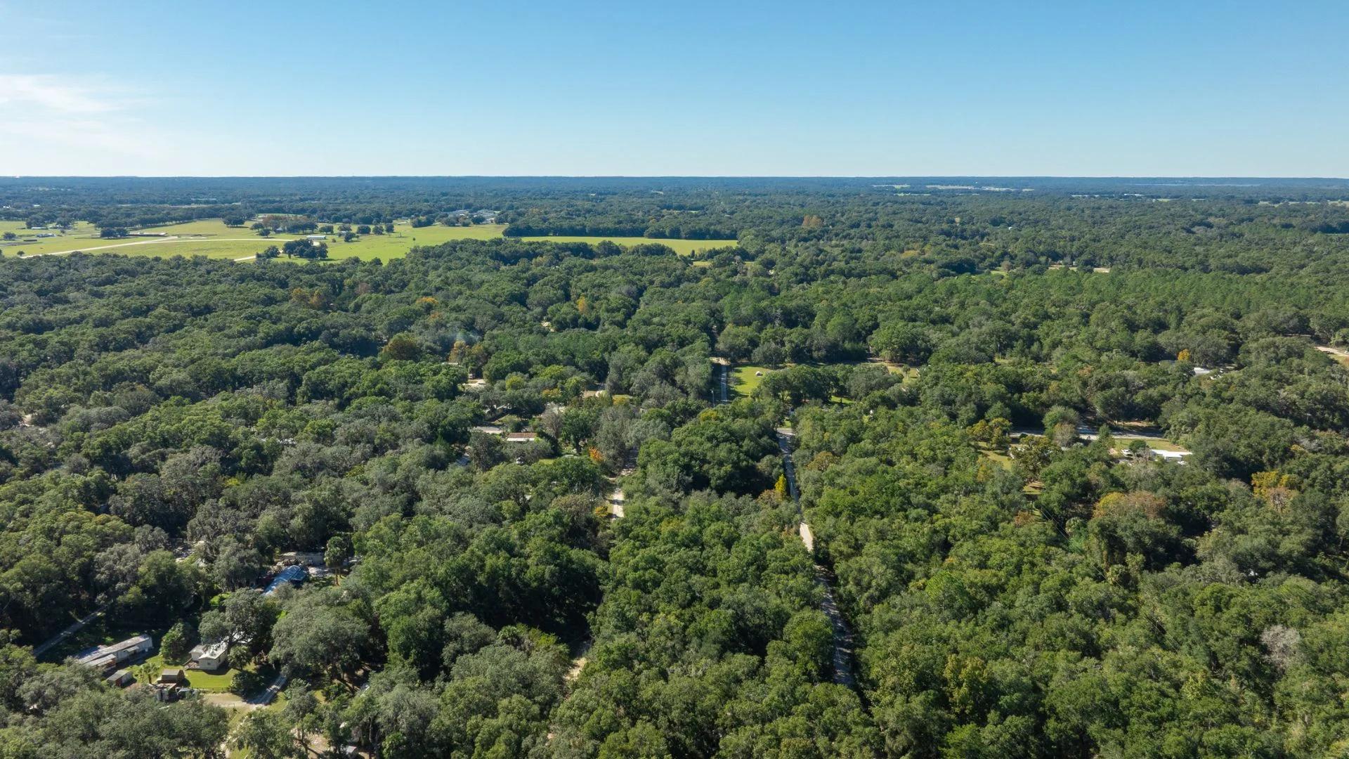 Decorative background for 0.38 Acre Citra FL Property – Proximity to Gainesville and US-301 for Easy Access image 18