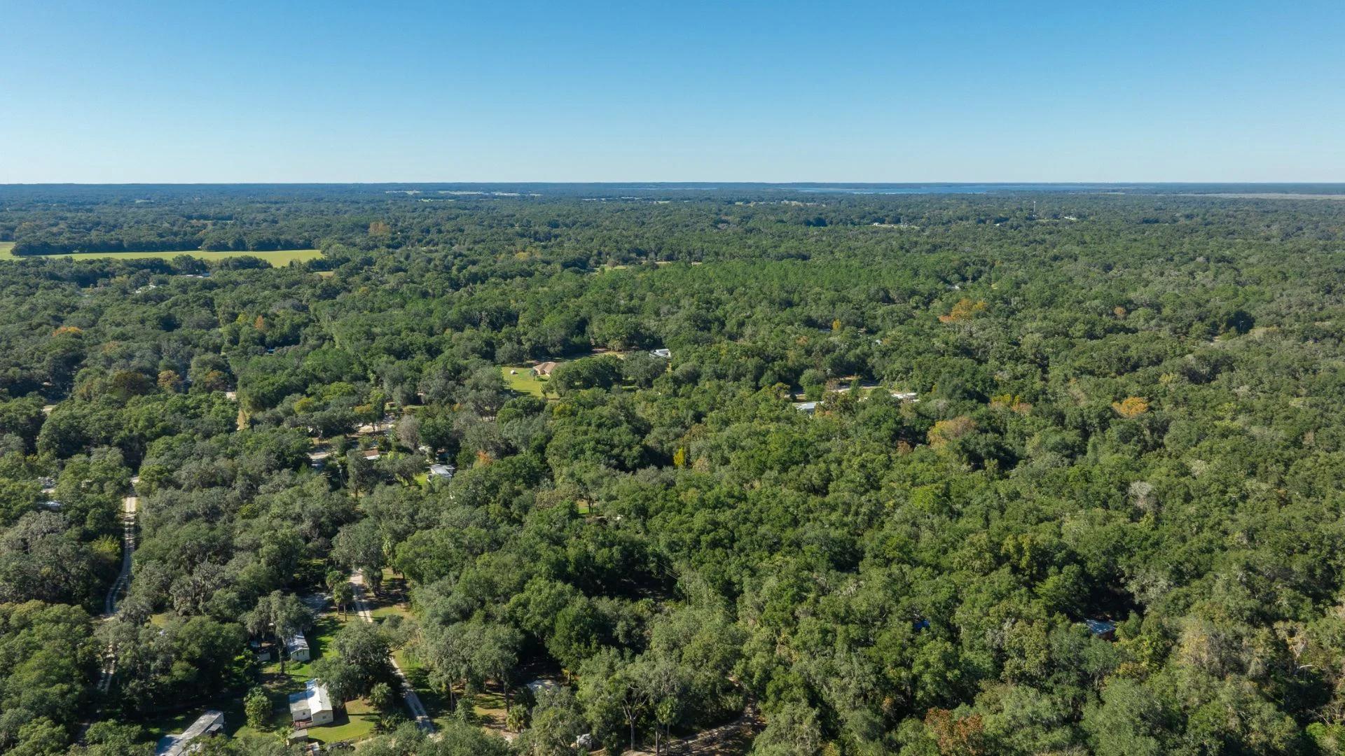 Decorative background for 0.38 Acre Citra FL Property – Proximity to Gainesville and US-301 for Easy Access image 19