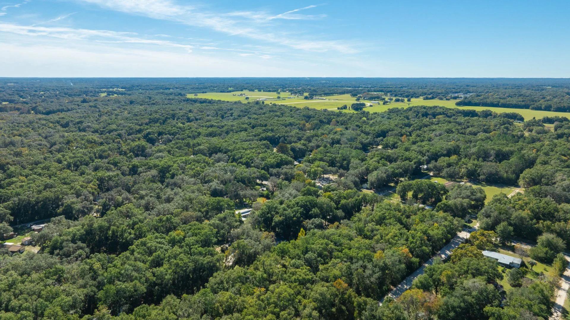 Decorative background for 0.38 Acre Citra FL Property – Proximity to Gainesville and US-301 for Easy Access image 21