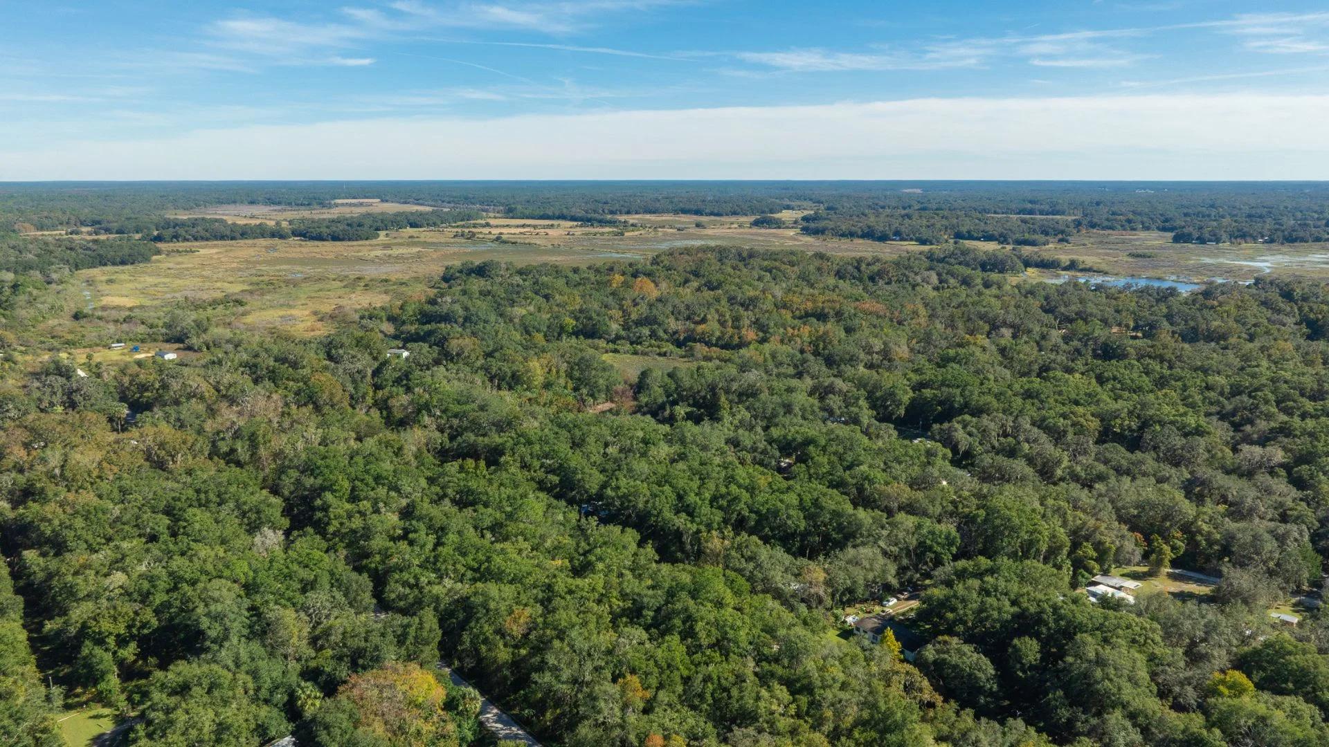 Decorative background for 0.38 Acre Citra FL Property – Proximity to Gainesville and US-301 for Easy Access image 22