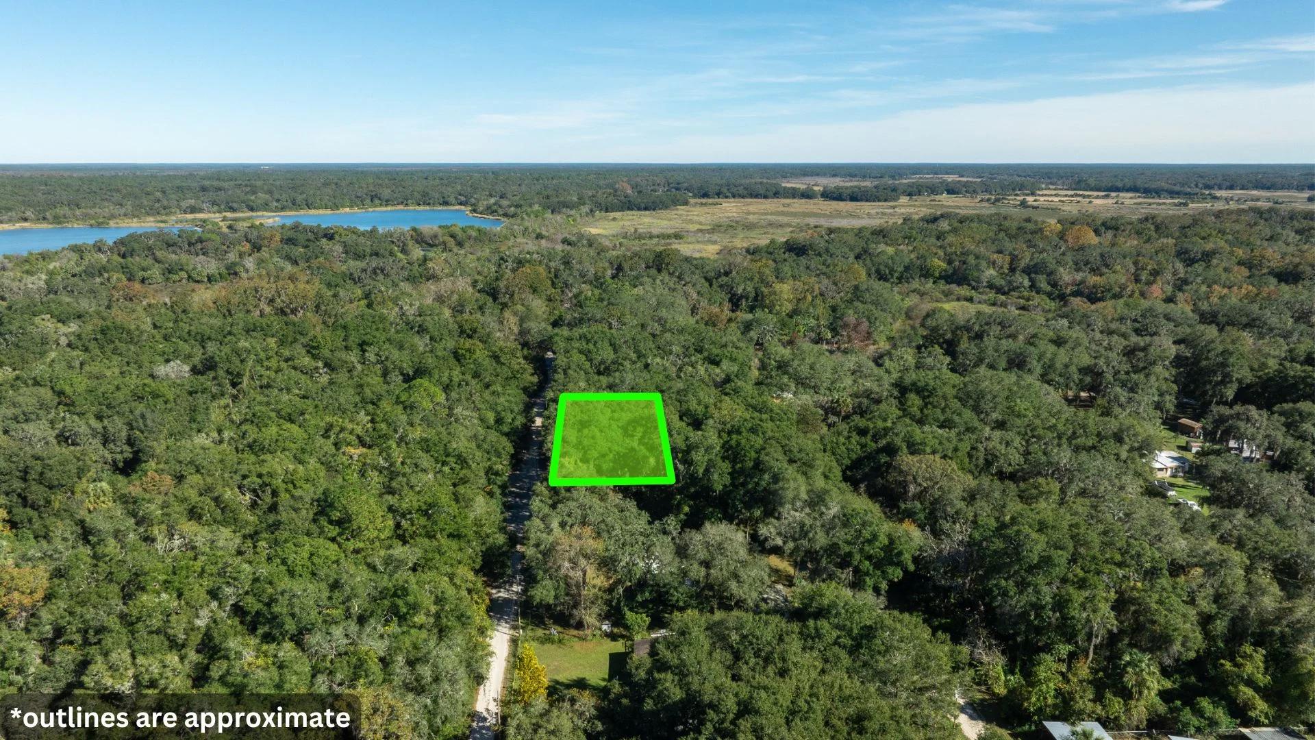Decorative background for 0.38 Acre Citra FL Property – Proximity to Gainesville and US-301 for Easy Access image 25