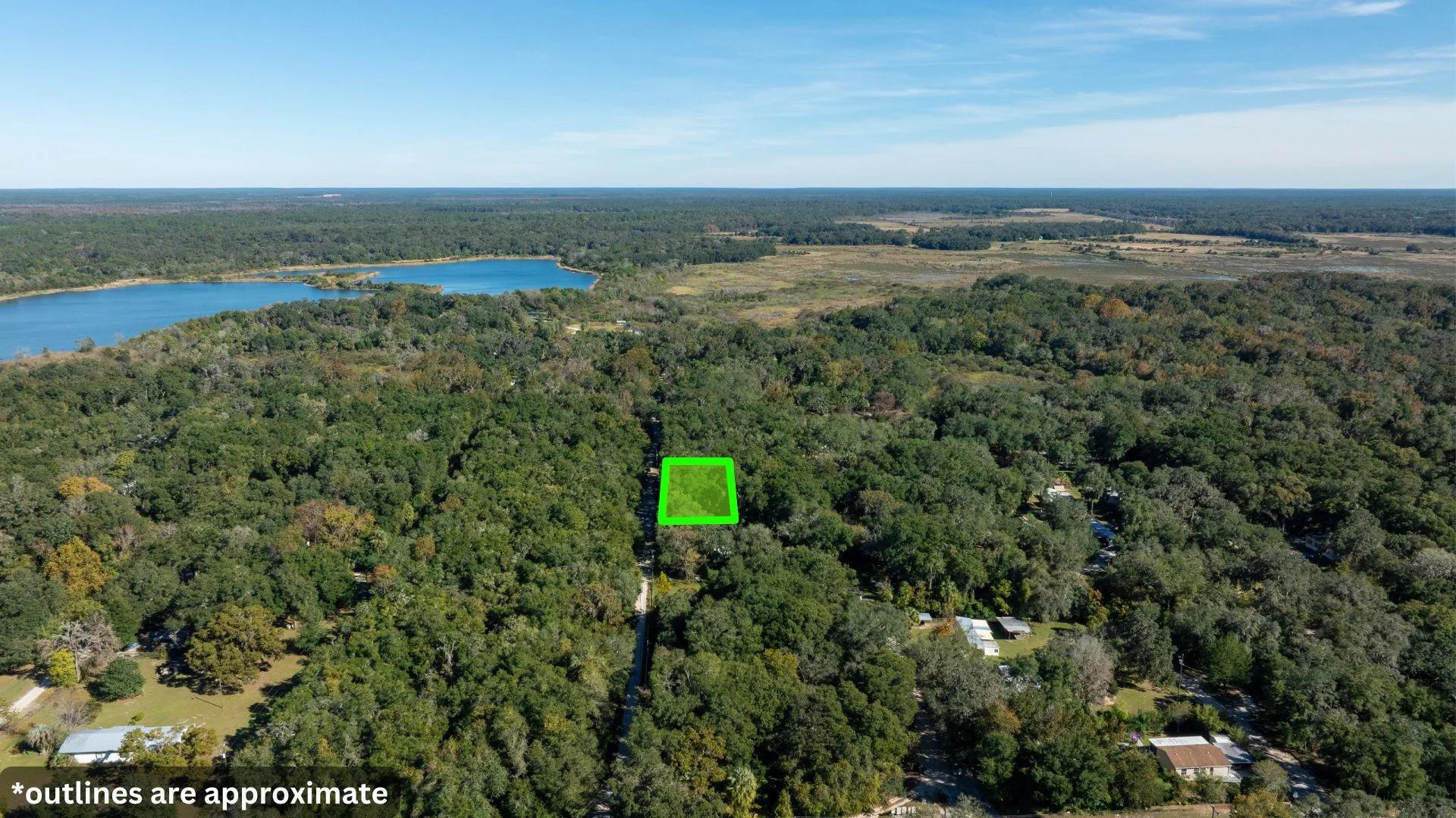 Decorative background for 0.38 Acre Citra FL Property – Proximity to Gainesville and US-301 for Easy Access image 26