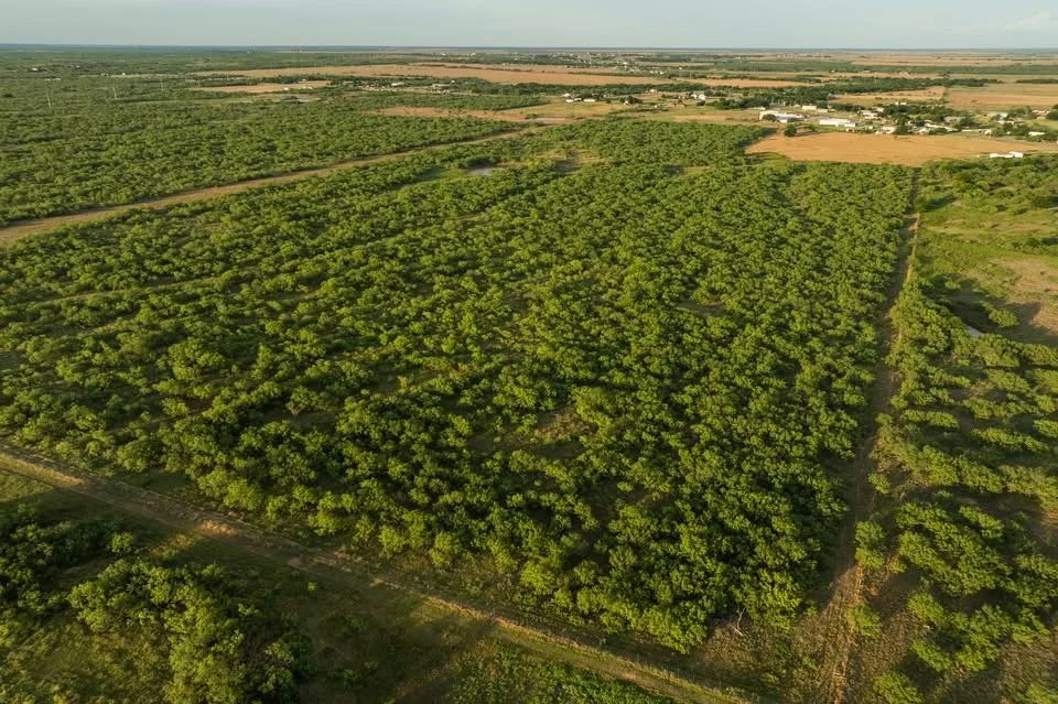 11 Acres Clay County | $5,500 Down | $1,188/mo | 10 min Wichita Falls in Clay County, TX