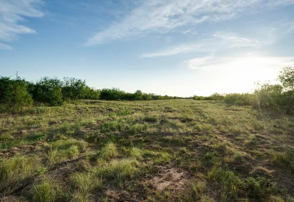 Decorative background for 11 Acres Clay County | $5,500 Down | $1,188/mo | 10 min Wichita Falls image 5