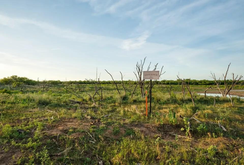 Decorative background for 11 Acres Clay County | $5,500 Down | $1,188/mo | 10 min Wichita Falls image 6