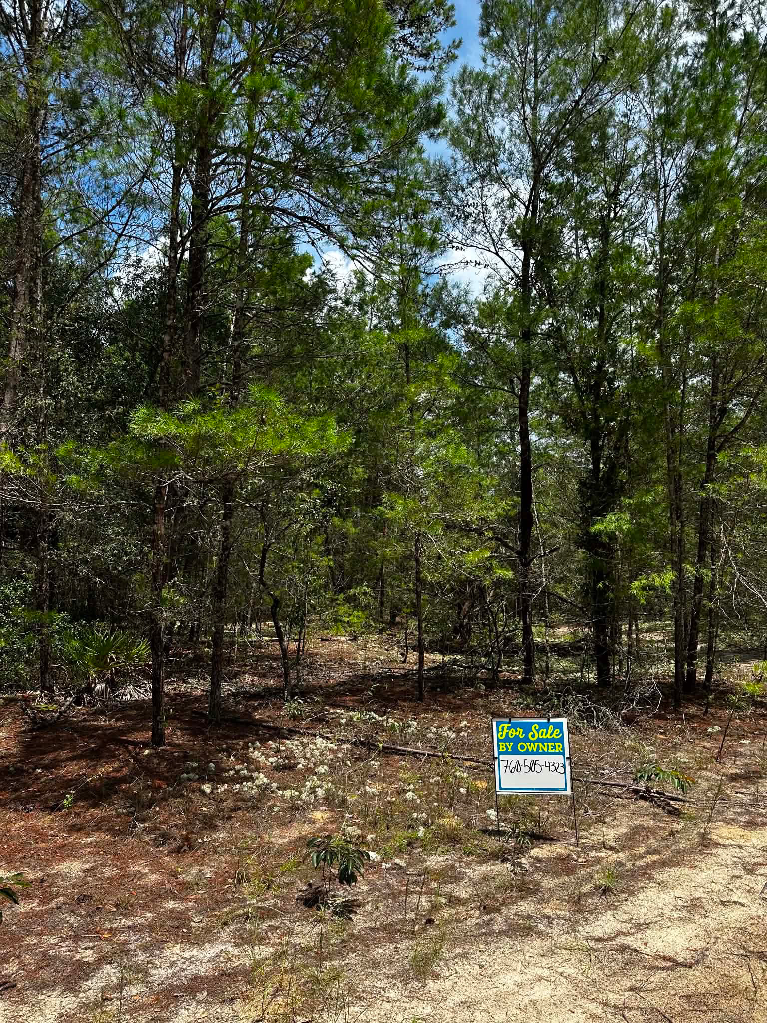 Buildable lot in Putnam County, FL