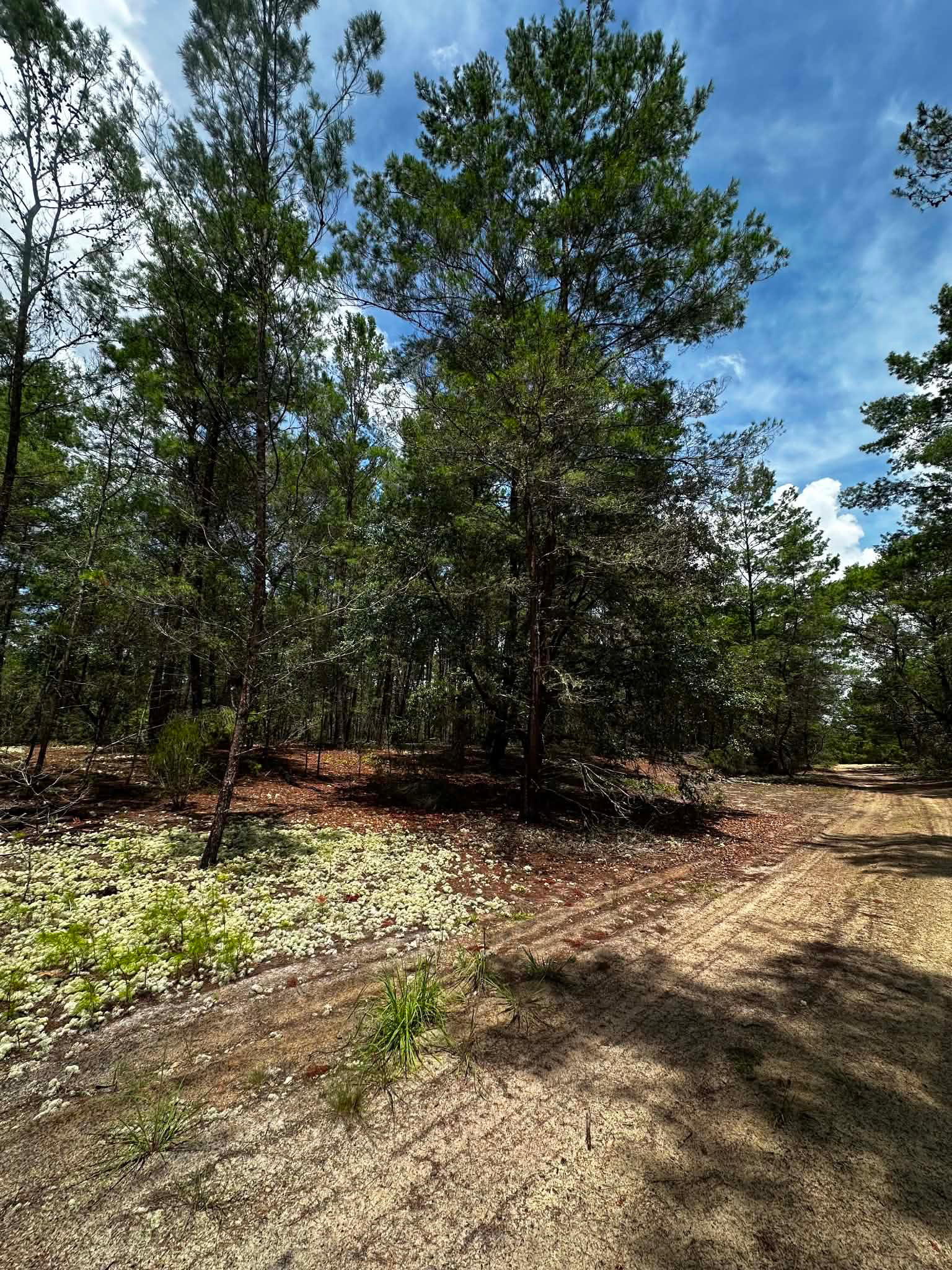 Buildable lot in Putnam County, FL