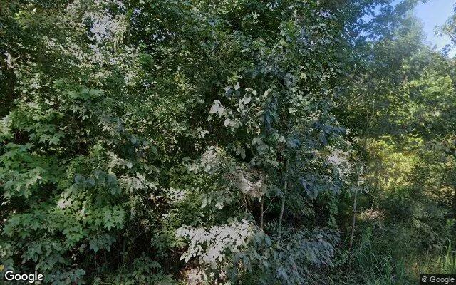 3.51 Acres in Queen City - Cass County, TX - Image 4