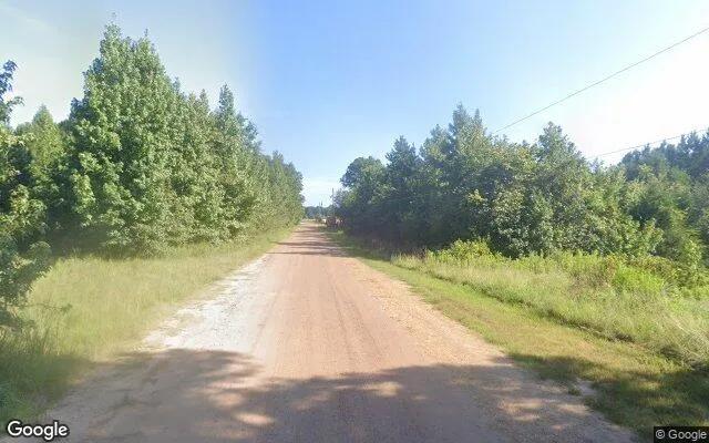 Decorative background for 3.51 Acres in Queen City - Cass County, TX image 6