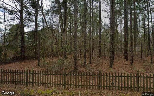 0.55 Acres in Wallace - Duplin County, NC - Image 4