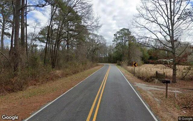 Decorative background for 0.55 Acres in Wallace - Duplin County, NC image 5