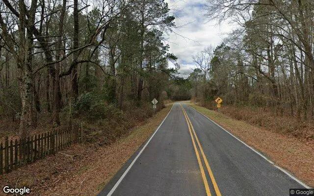 Decorative background for 0.55 Acres in Wallace - Duplin County, NC image 6